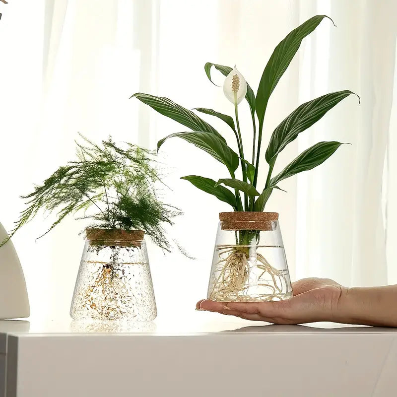 AquaRoots™ Propagateurs de Plantes en Verre avec Couvercle en Liège