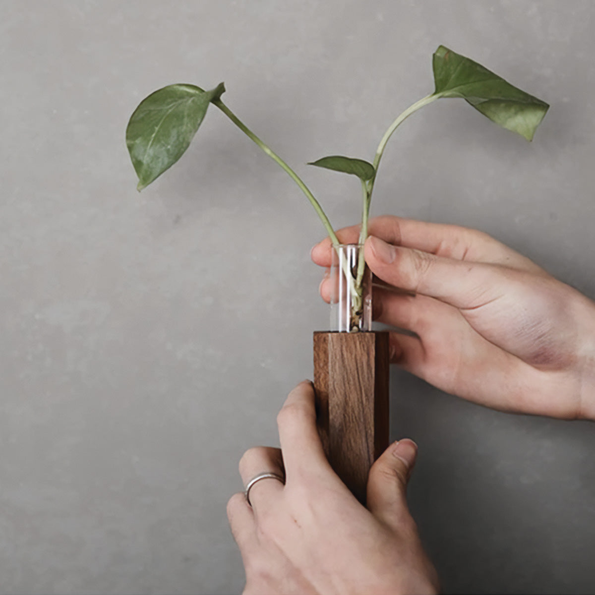 Maieur | Vase mural élégant – design moderne – décor raffiné