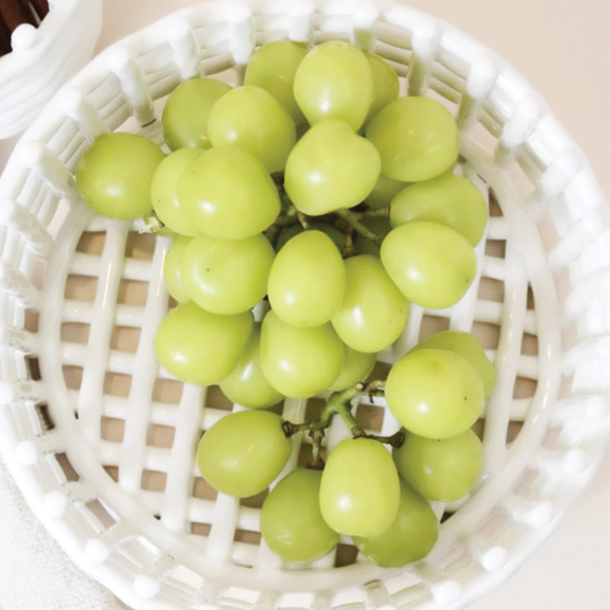 Fleleu | Panier de rangement – design élégant – multifonctionnel
