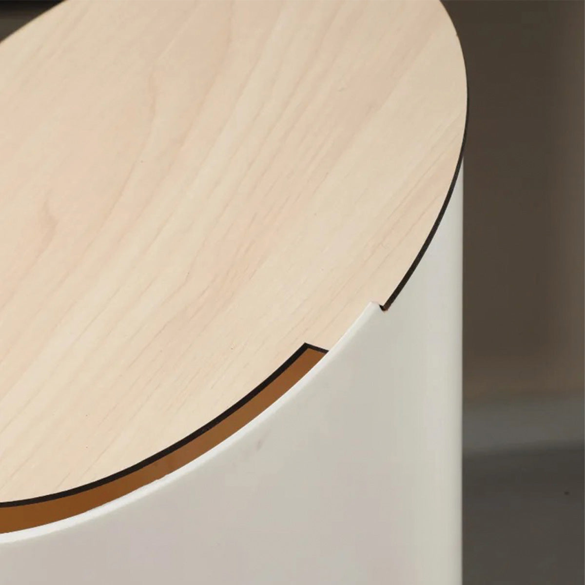 Hemhav | Poubelle en érable – design incliné – chic et pratique