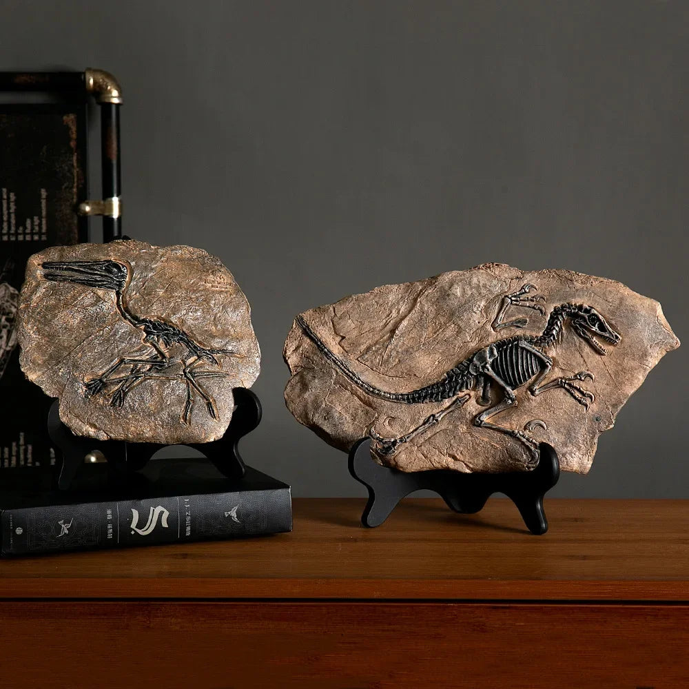 Sculpture Fossile Genesis