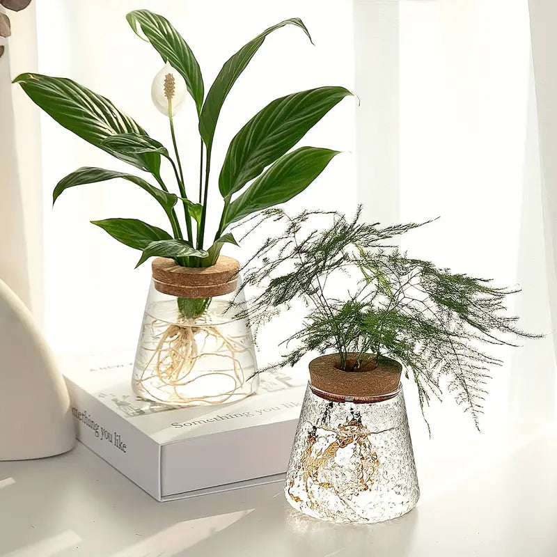 AquaRoots™ Propagateurs de Plantes en Verre avec Couvercle en Liège