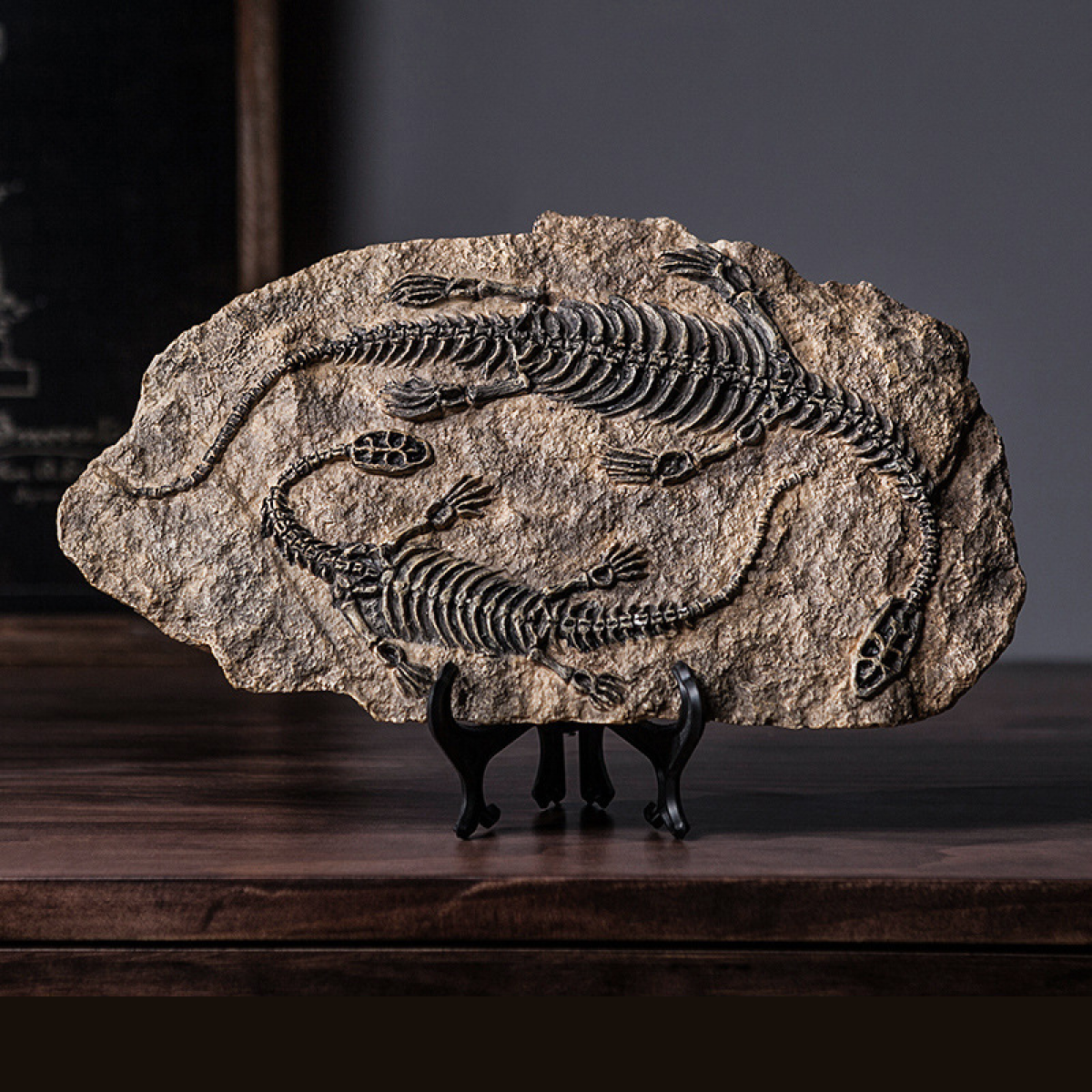 Sculpture Fossile Genesis