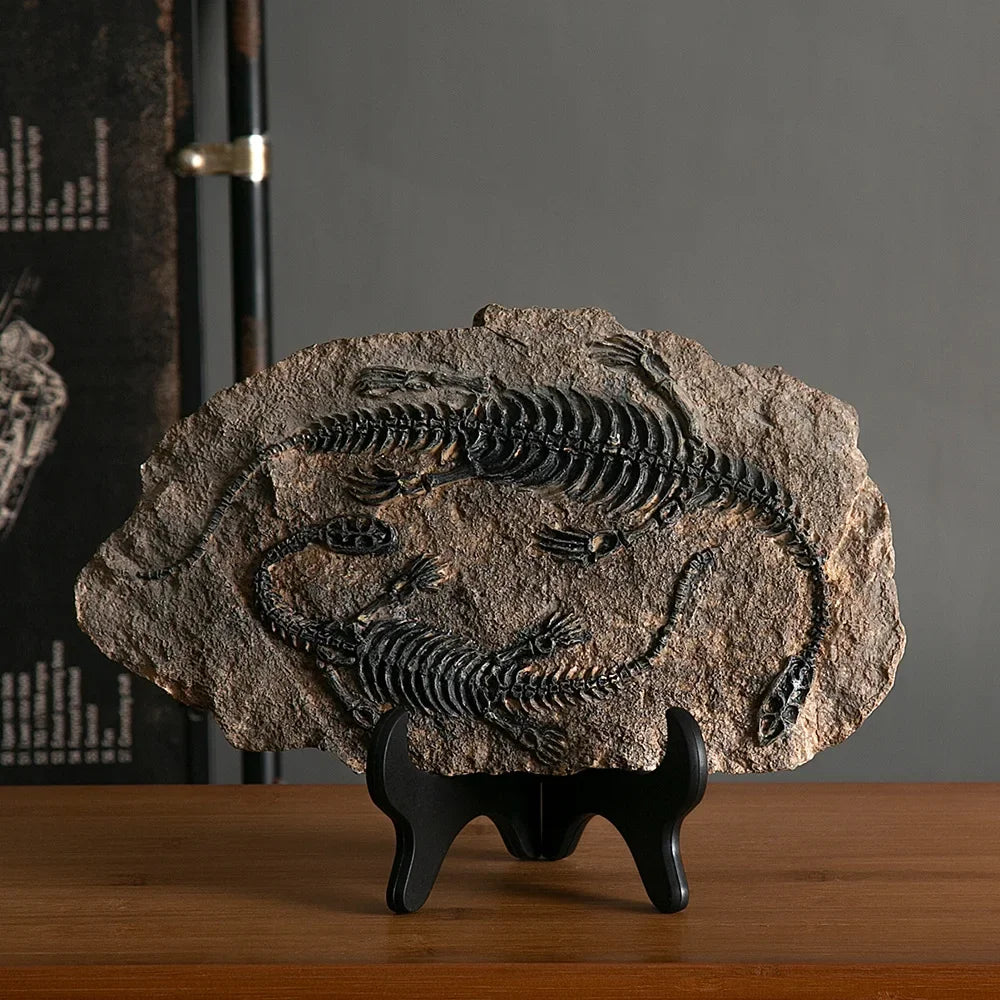 Sculpture Fossile Genesis
